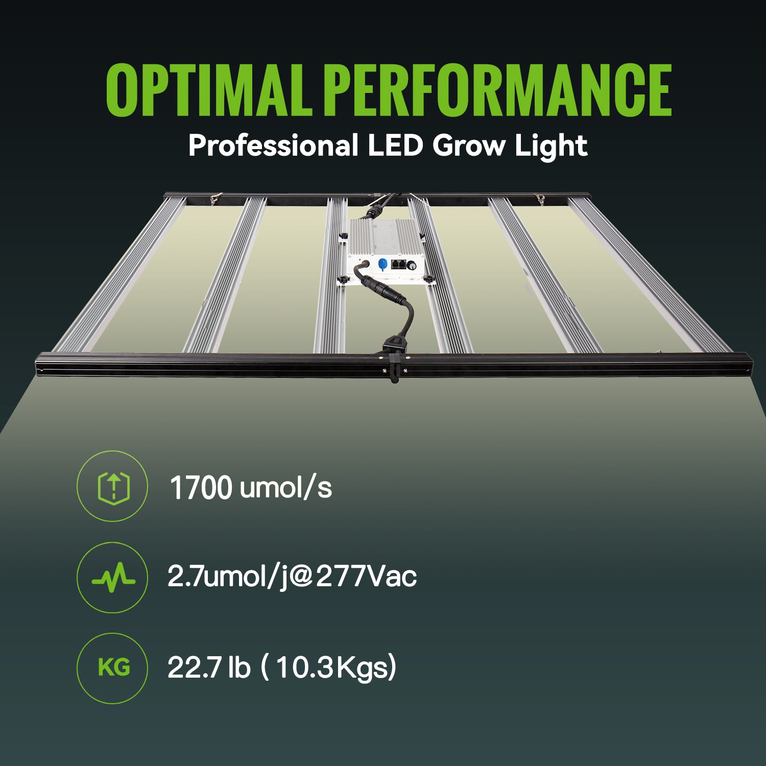 Professional LED grow lights