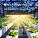 Greenhouse Hydroponic 600Watt 660nm Full Spectrum Led Grow Light For Commercial Plant - Gronet Technology Co., Ltd.